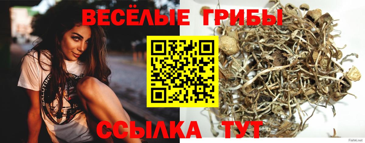 Псилоцибиновые грибы MAGIC MUSHROOMS Белореченск
