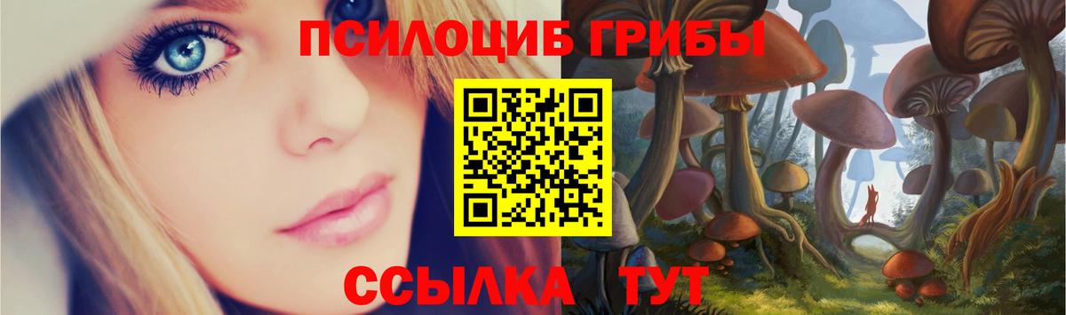где продают наркотики  Вход с VPN  Белореченск  Галлюциногенные грибы мухоморы 