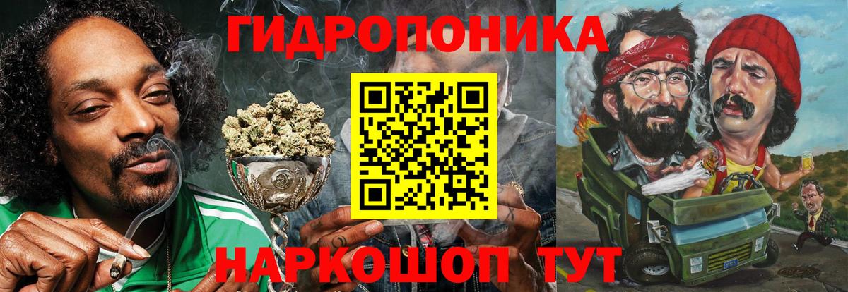 Конопля сатива Белореченск